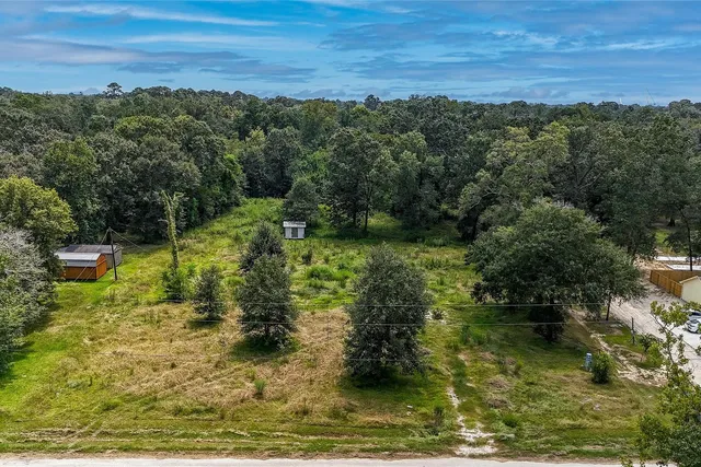 The wooded, grassy lot viewed from the road