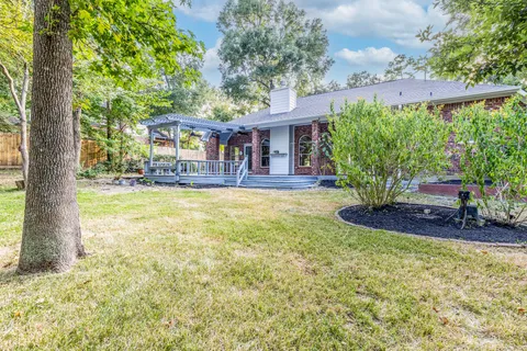 Wooded backyard
