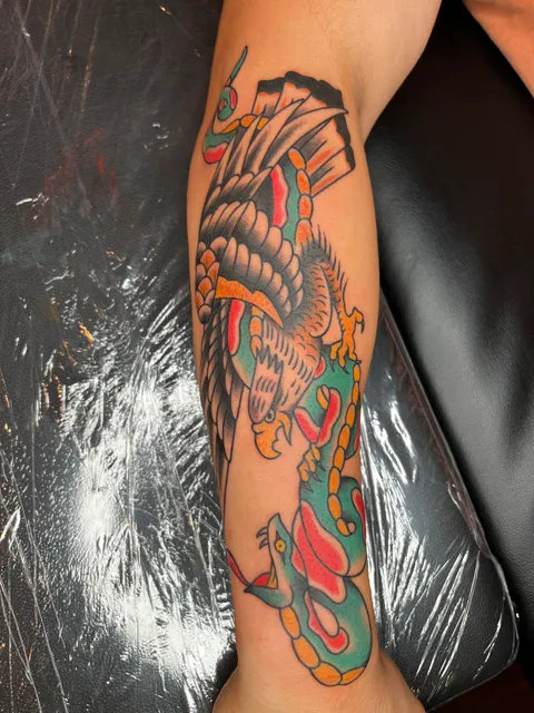 Dragon and snake, battle royale