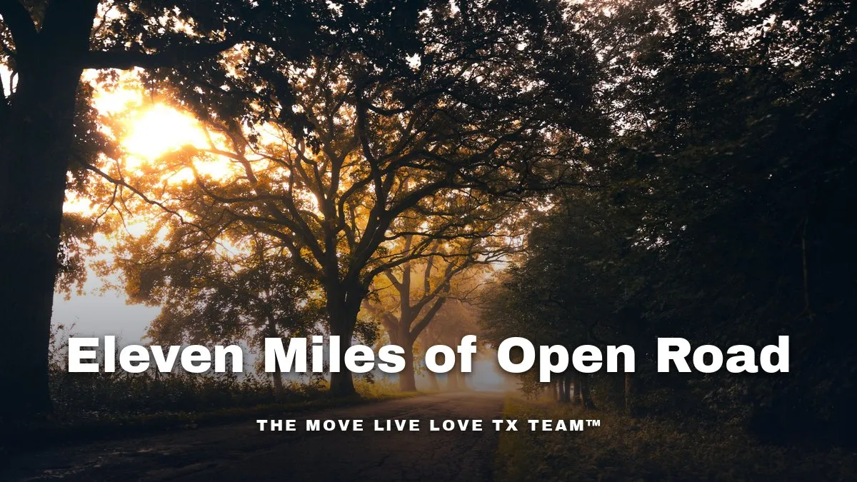 A bright suburban two-lane road lined with mature trees leading toward a Texas golf community entrance in morning light