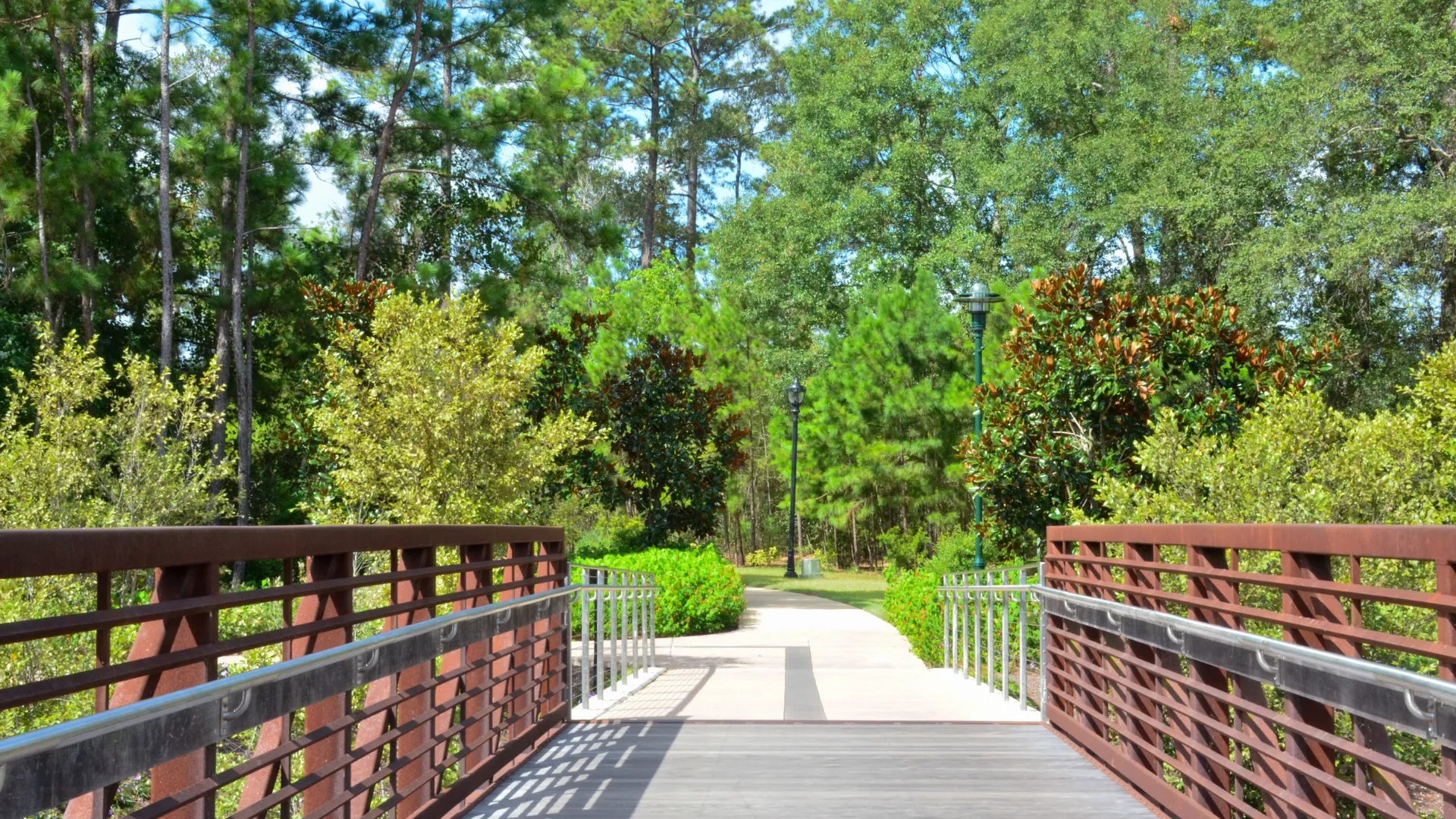 A wooden pedestrian bridge leading into a pine-lined trail in The Woodlands