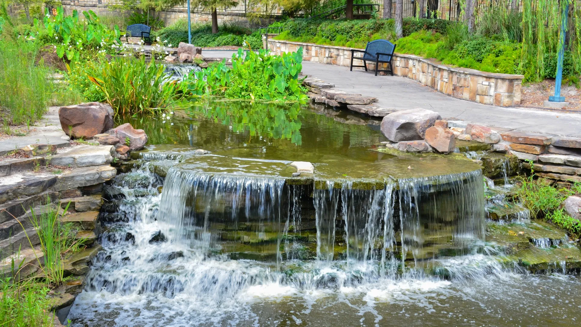 A garden waterfall and pond along a park path in The Woodlands