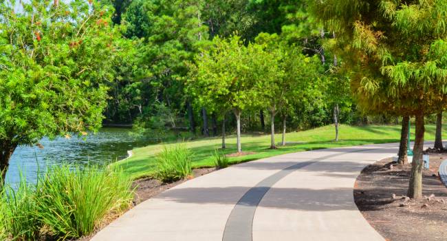 Creekside Park Paths and Walkways